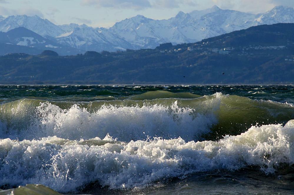 Zum Seglerhafen - Ferienappartement Kressbronn am Bodensee Zewnętrze zdjęcie