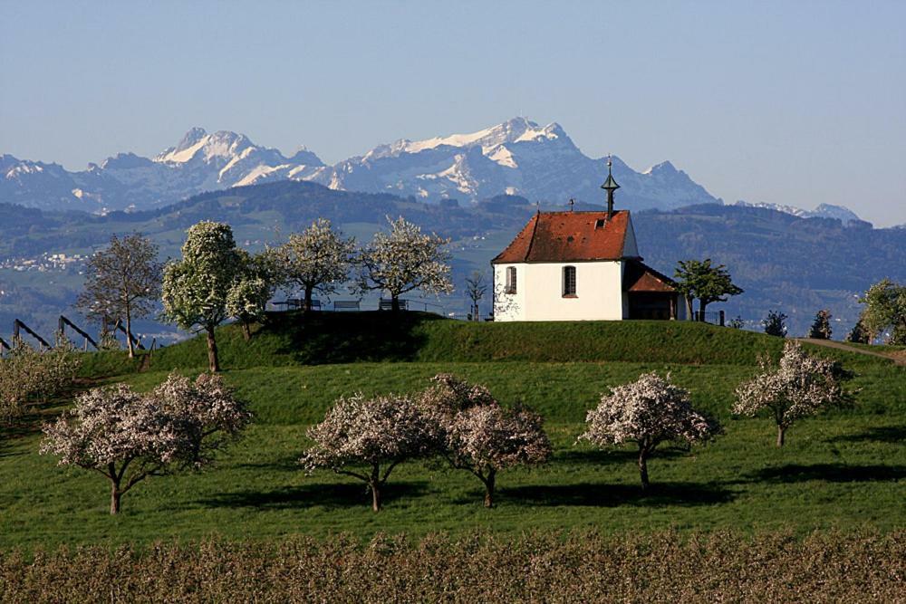 Zum Seglerhafen - Ferienappartement Kressbronn am Bodensee Zewnętrze zdjęcie