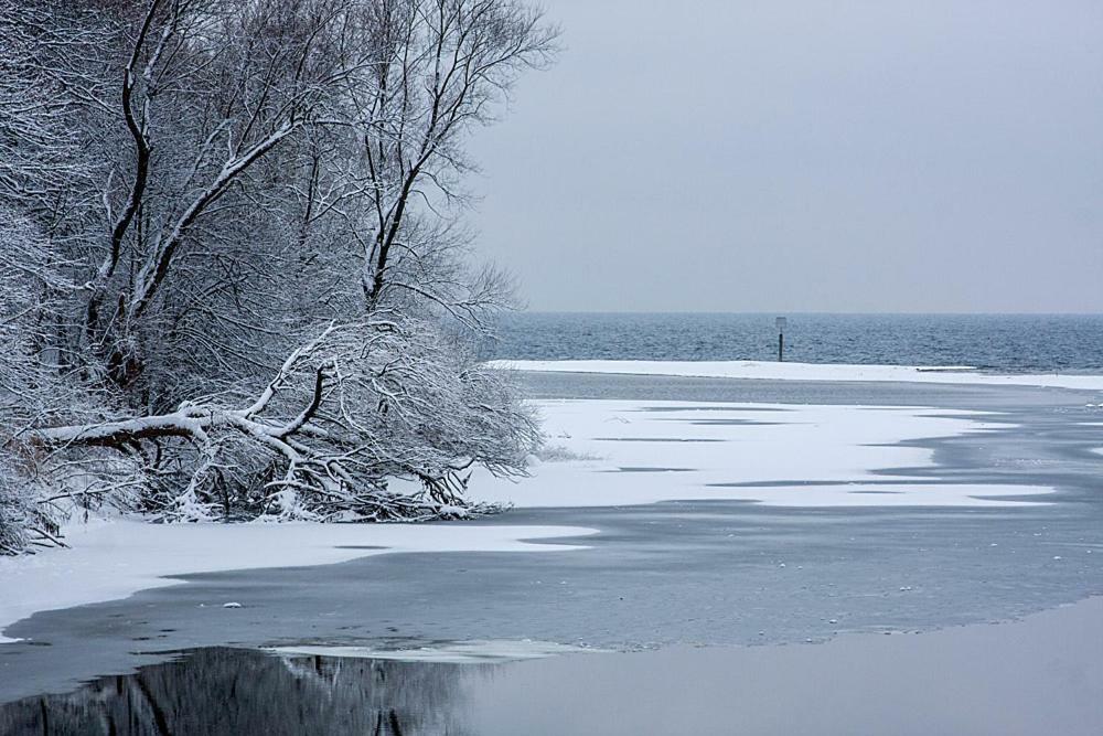 Zum Seglerhafen - Ferienappartement Kressbronn am Bodensee Zewnętrze zdjęcie